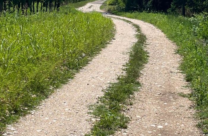Le Strade Bianche