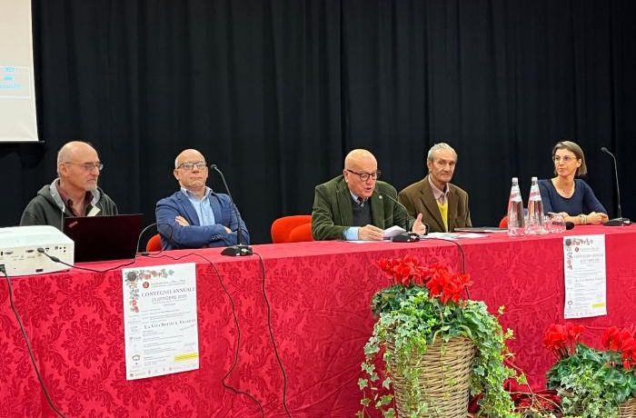 Life beneath the vineyard