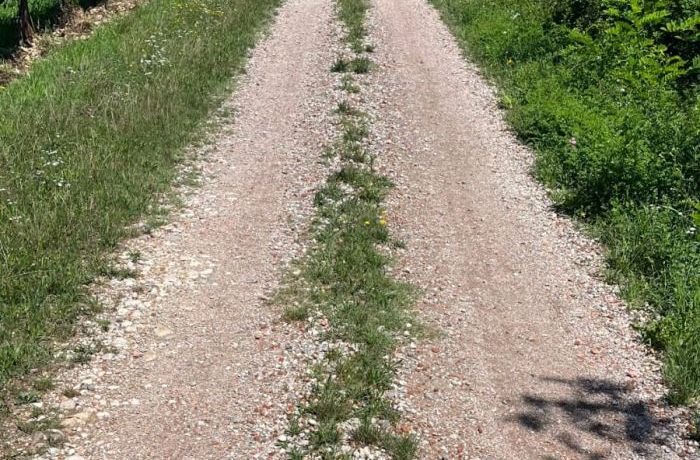 Le Strade Bianche