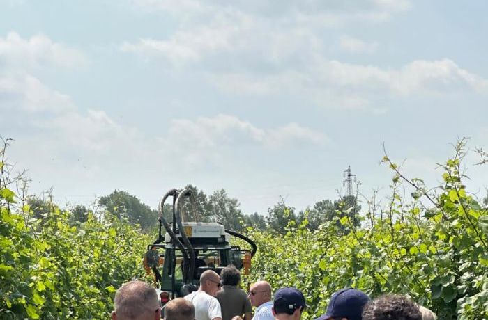 Field Trials
