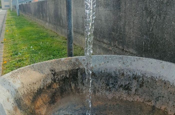 L’importanza dell’acqua  