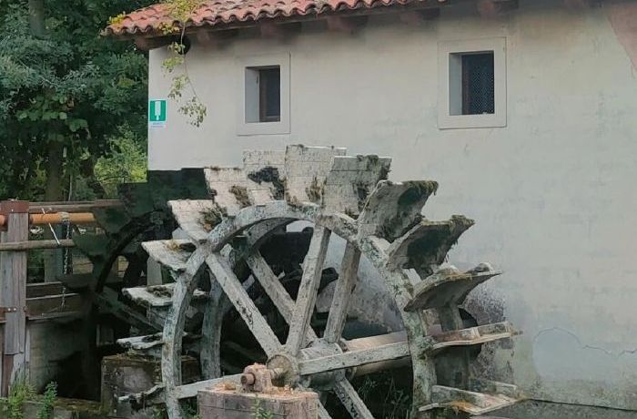 L’importanza dell’acqua  