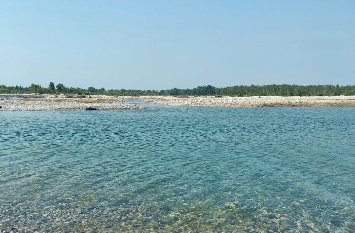 L’acqua è il respiro della terra: il nostro impegno tra i sassi del Tagliamento