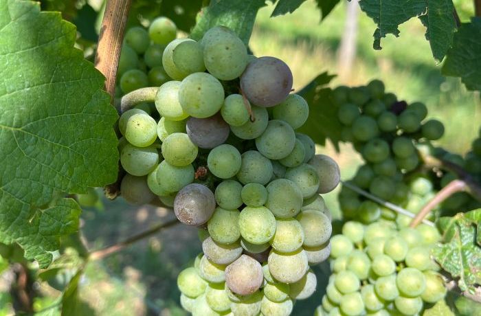 “Cambio Colore”: La storia sta per iniziare