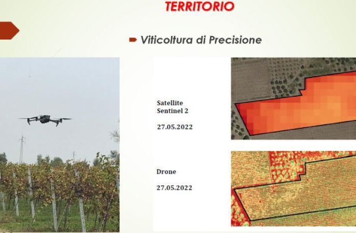 Cantina Ramuscello - Sesto al Reghena
