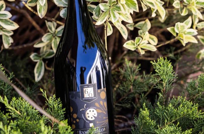 Cantina Ramuscello - Il vino nel 2024