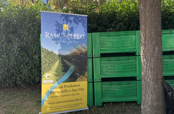 Cantina Ramuscello - Consorzio Olio FVG