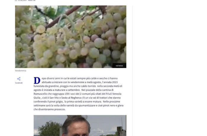 Cantina Ramuscello - Tempo di vendemmia 2023
