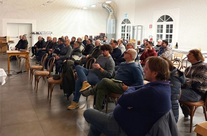 La Gestione delle Cocciniglie in Vigneto