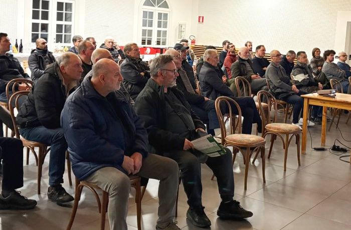 La Gestione delle Cocciniglie in Vigneto