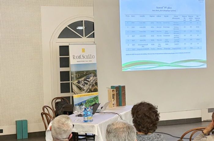 La Gestione delle Cocciniglie in Vigneto