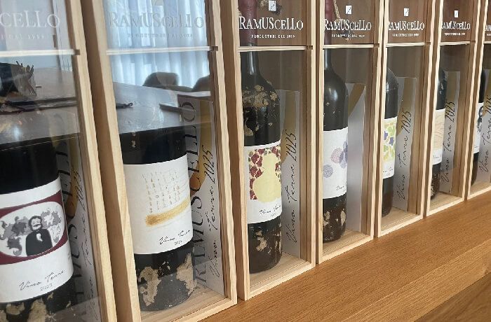 Futuro del vino e radici friulane: la Cantina di Ramuscello accoglie il Consigliere Regionale Markus Maurmair