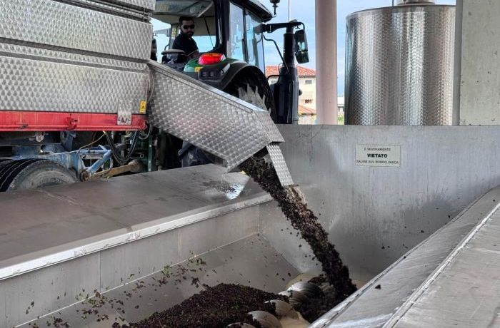 Inizio vendemmia 2025 Cantina Ramuscello