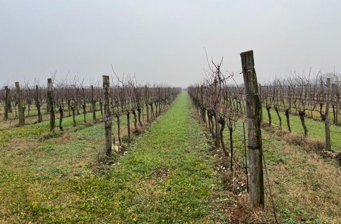 Inverno - Cantina Ramuscello