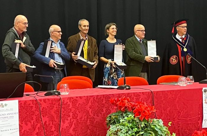 La vita sotto il vigneto