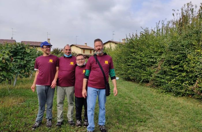 Solidarity harvest with Futura Social Cooperative