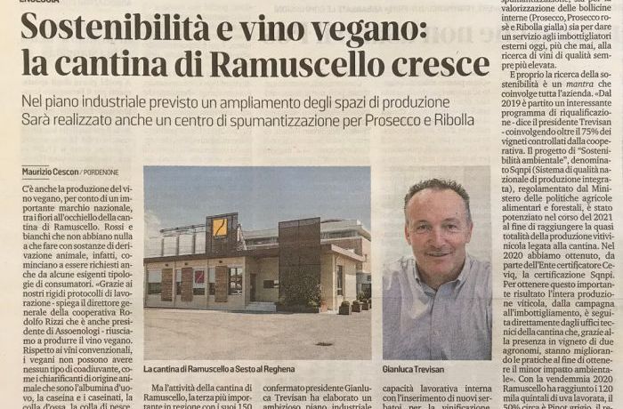 Sostenibilità e vino vegano. 