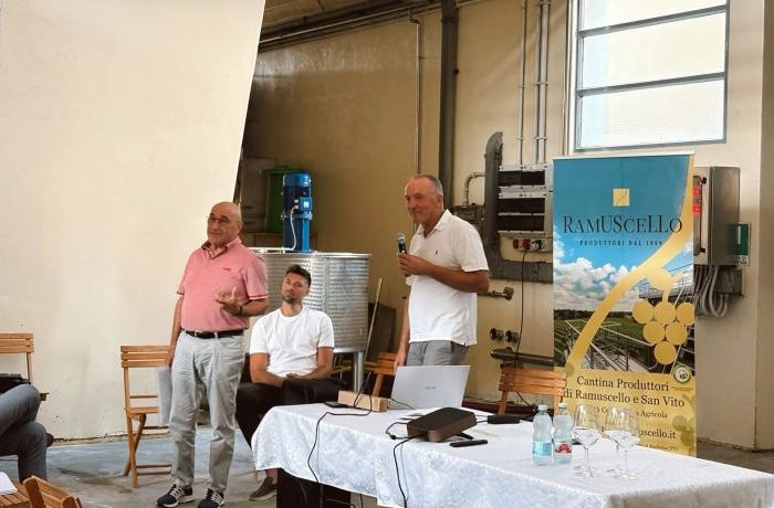 Preparativi per la Vendemmia 2026