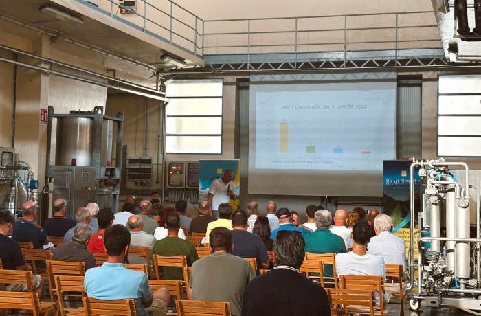 Preparativi per la Vendemmia 2026