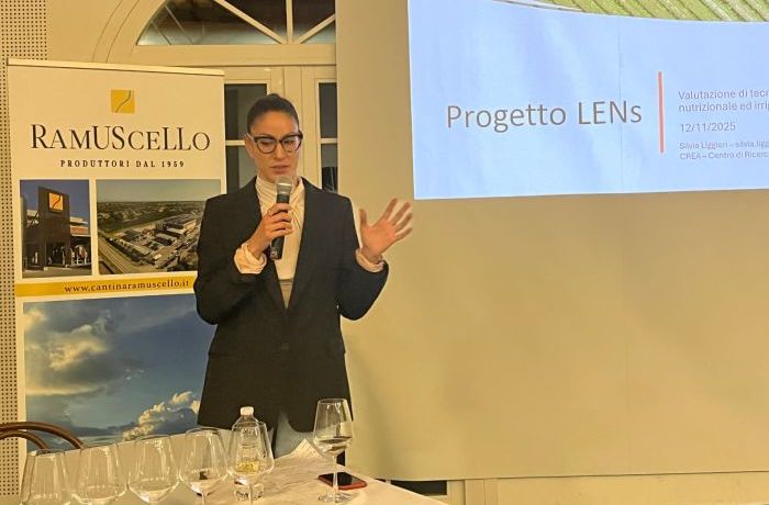 Viticoltura di Qualità