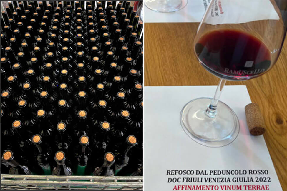 Degustazione del vino Vino Terre